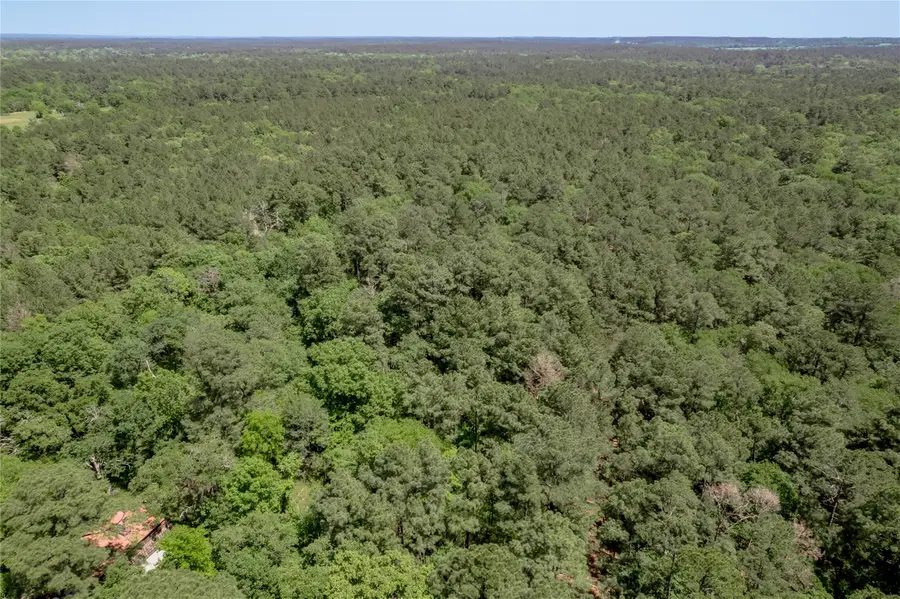 TBD Roy Webb Road, Huntsville, TX 77320 - Image #3