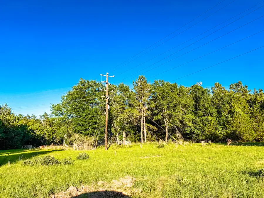 289 County Road 261, Oakwood, TX 75855 - #2