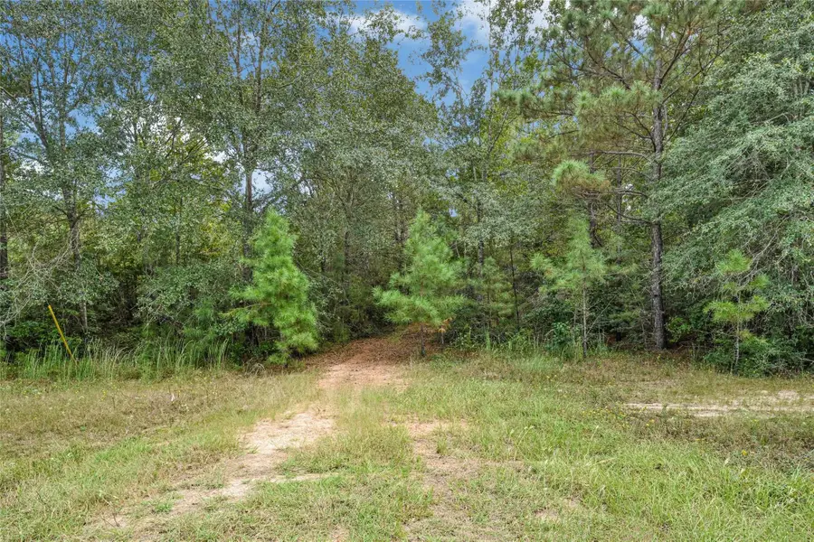 21490 Big Buck Drive, Cleveland, TX 77328 - #3