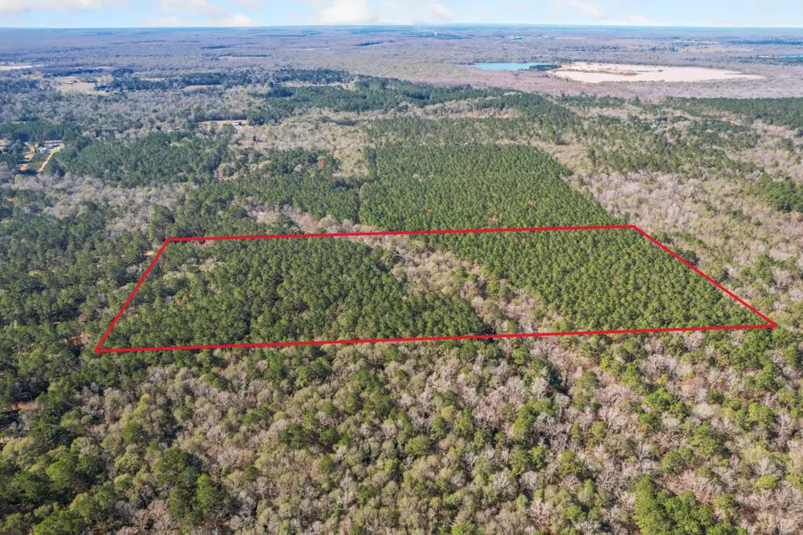 473 County Road 2125, Cleveland, TX 77327 - #3