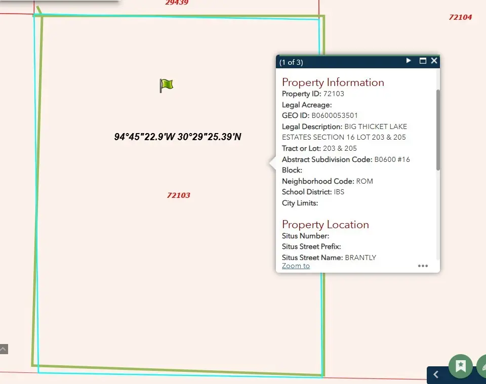 203 & 205 Brantly Drive, Livingston, TX 77351 - Image #1