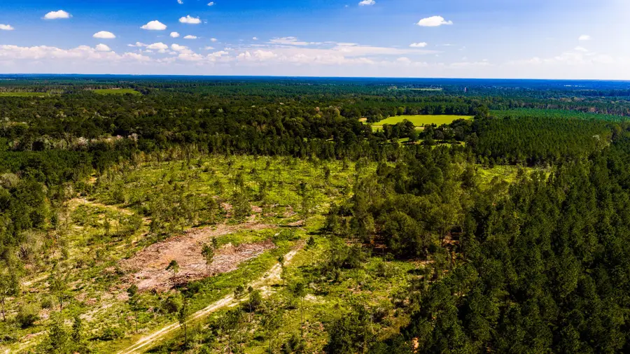 007 Buddy Lloyd Rd, Livingston, TX 77351 - #3