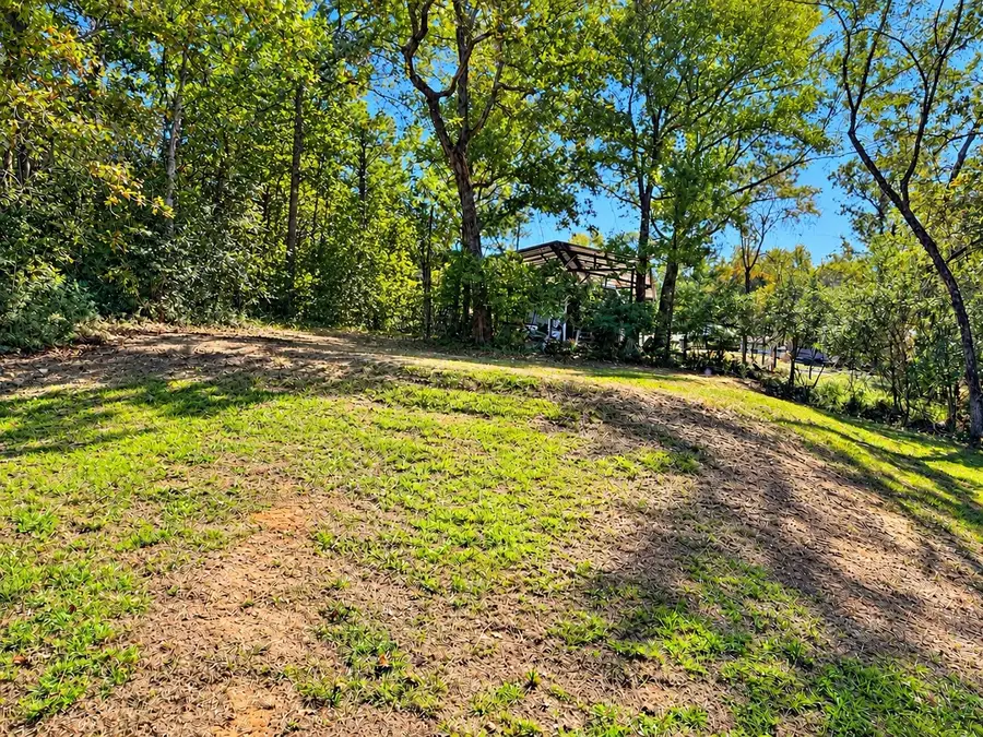 333 Ridge Trail, Trinity, TX 75862 - #3