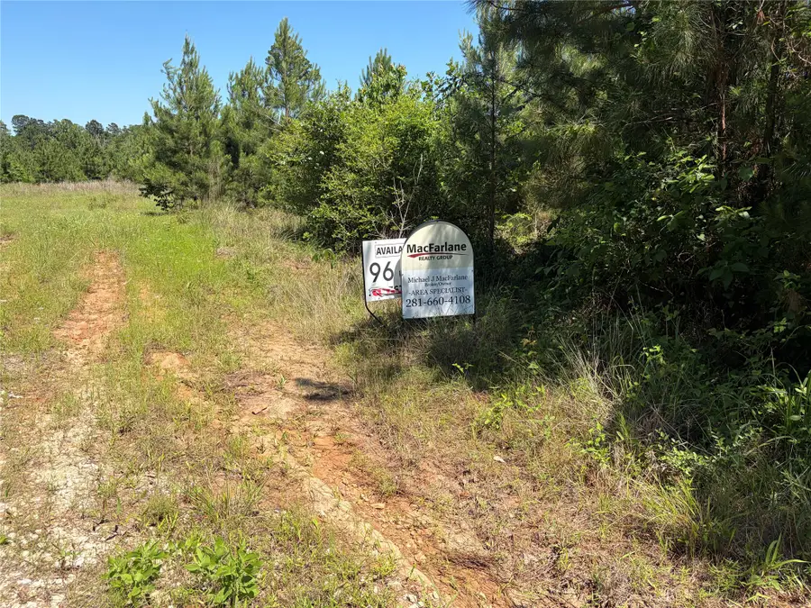 0 Robertson Road, Lovelady, TX 75851 - #3