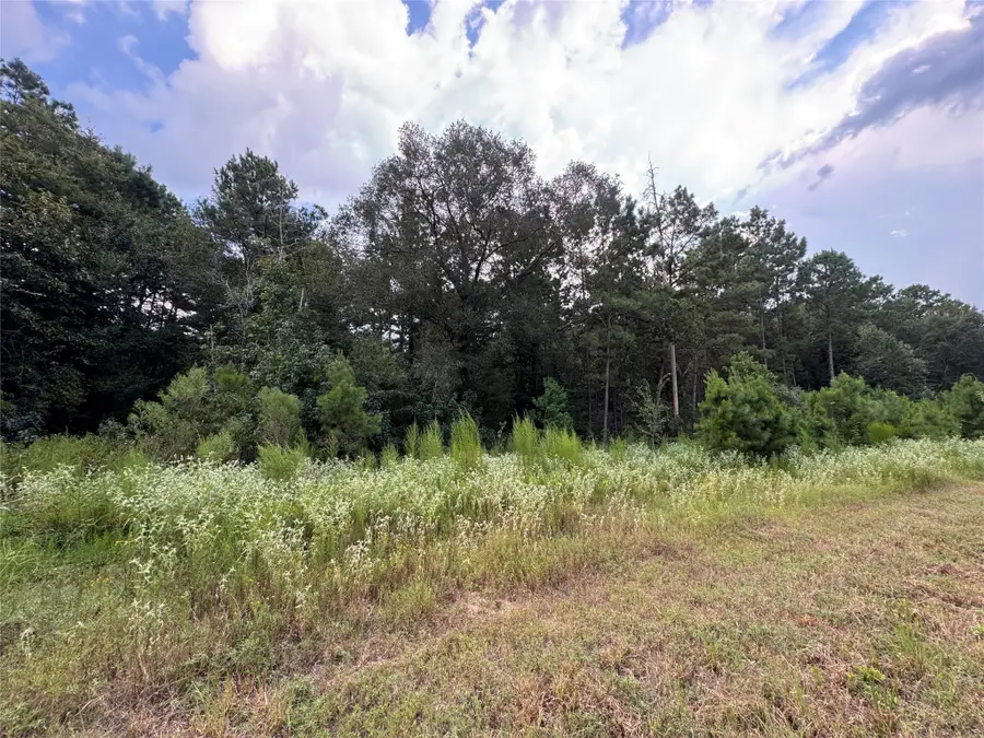 68-23-7 Sky Oak Lane, Huntsville, TX 77340 - Image #2