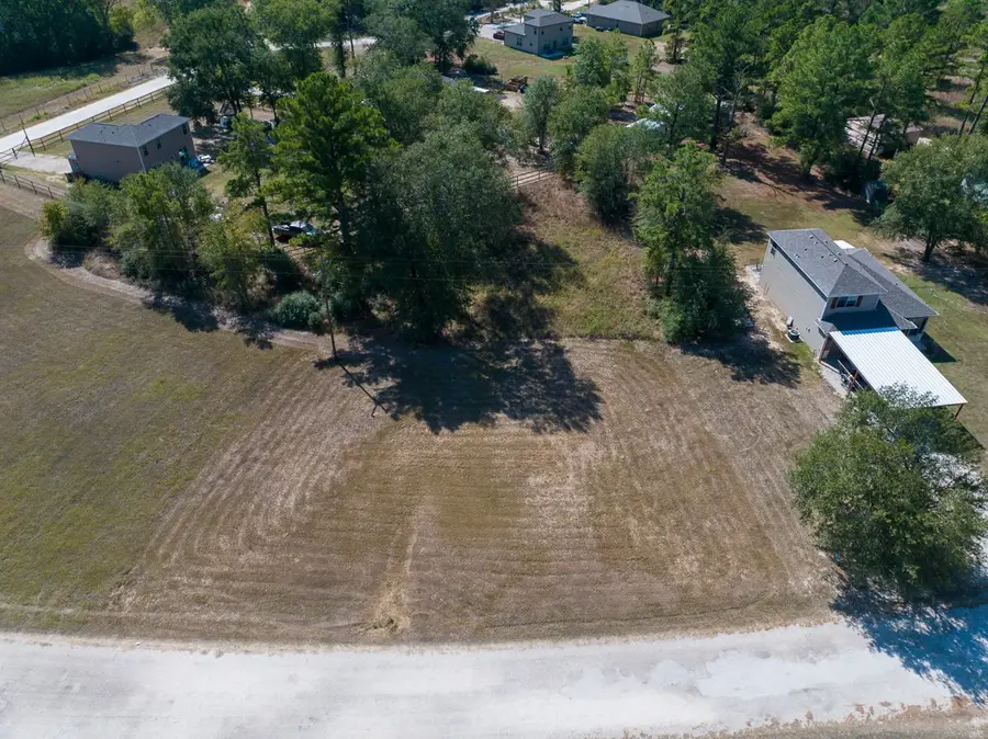 Lot 301 Horseshoe Lake Drive, Huntsville, TX 77340 - Image #2