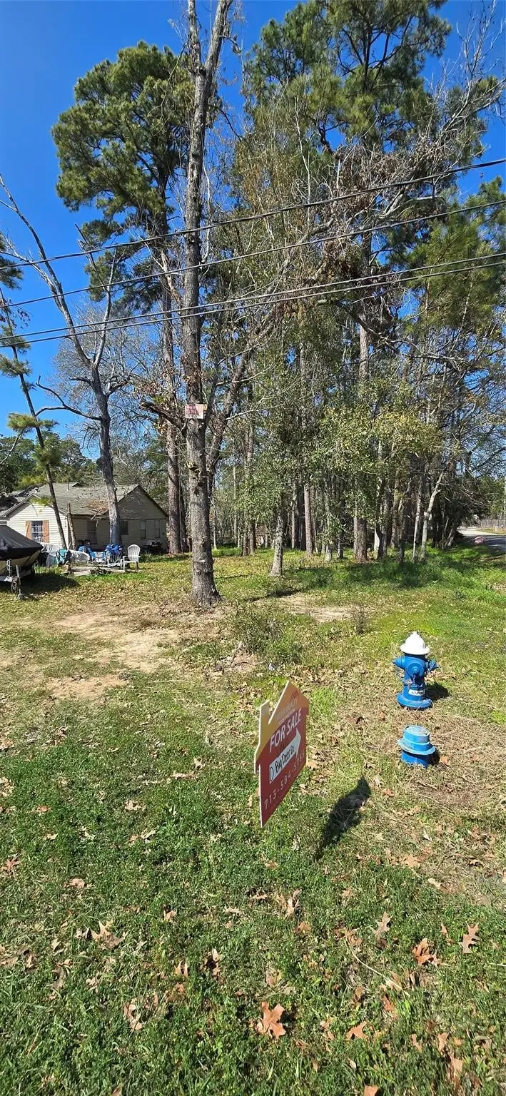0 Big Deer Drive, Houston, TX 77532 - #2