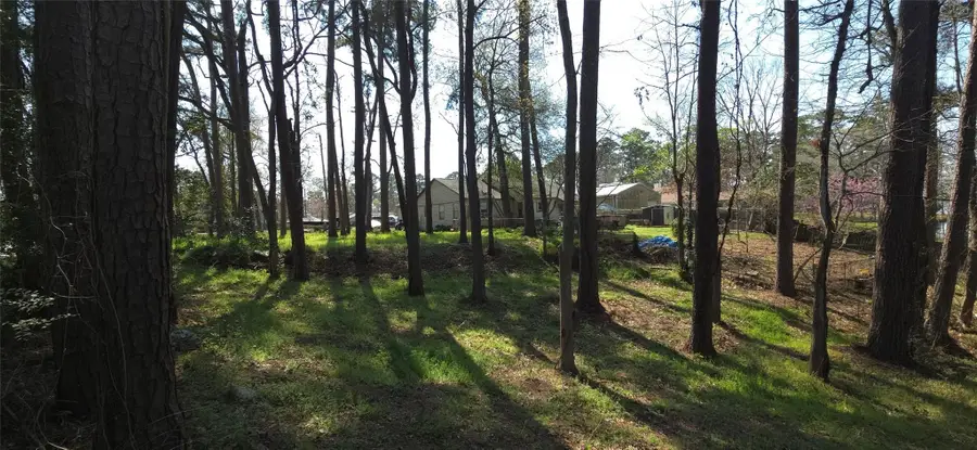 0 Big Deer Drive, Houston, TX 77532 - #3