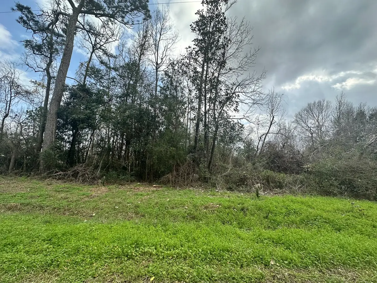 0 Redbud Drive, Conroe, TX 77302 - #1