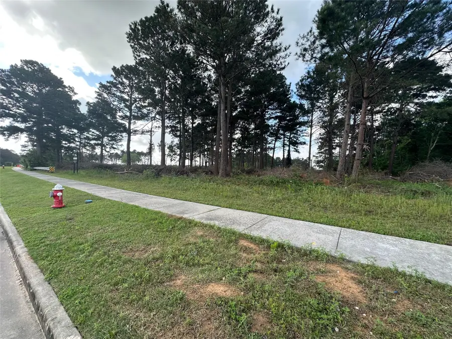 0 Medical Complex Street, Tomball, TX 77375 - #3