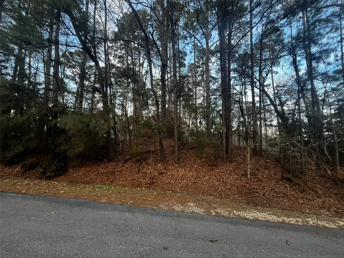 26 Sunny Hill Drive, Coldspring, TX 77331 - Image #1