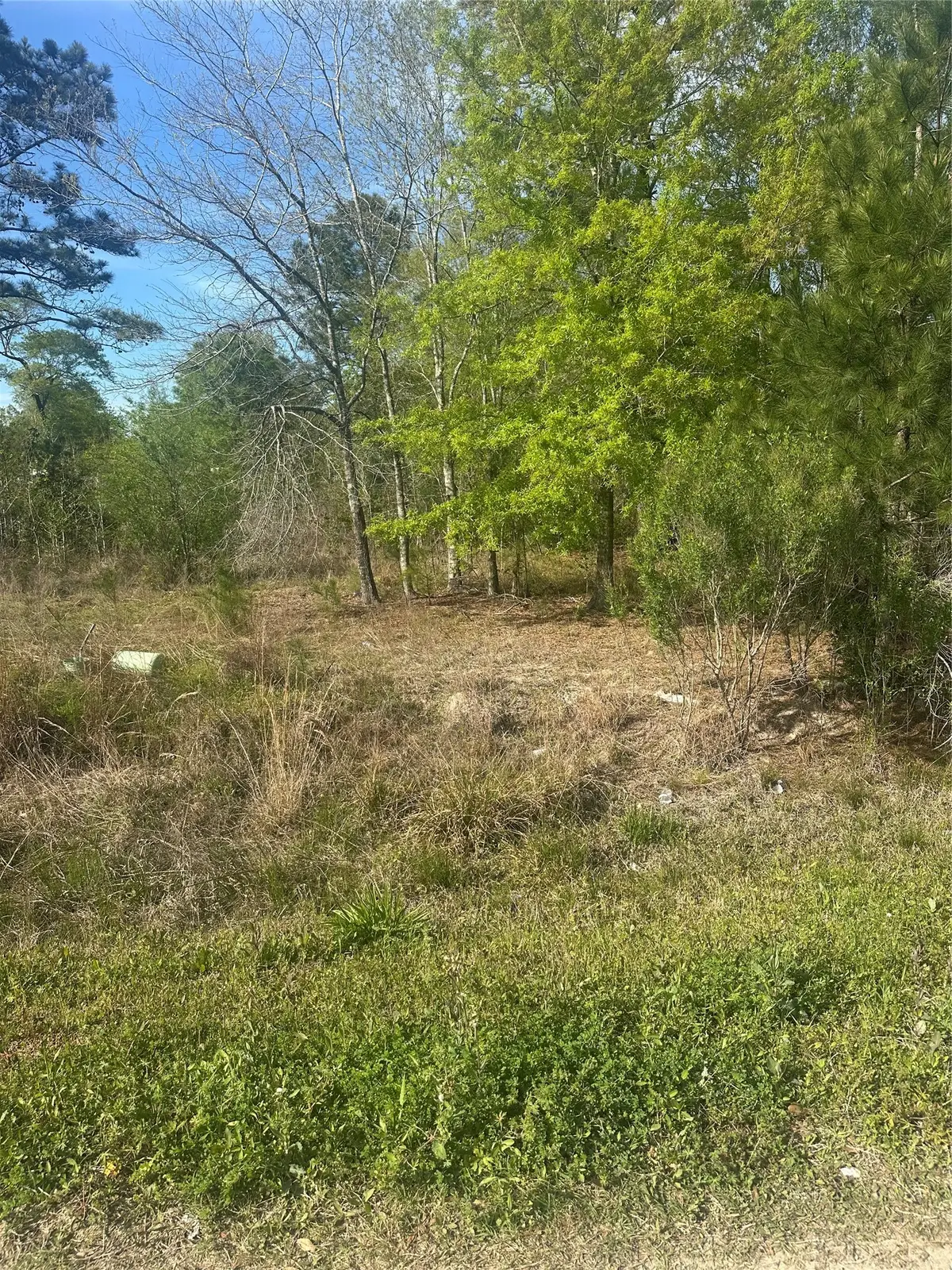 867 County Road 3415, Cleveland, TX 77327 - #1