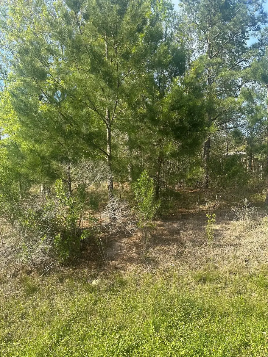 867 County Road 3415, Cleveland, TX 77327 - #3