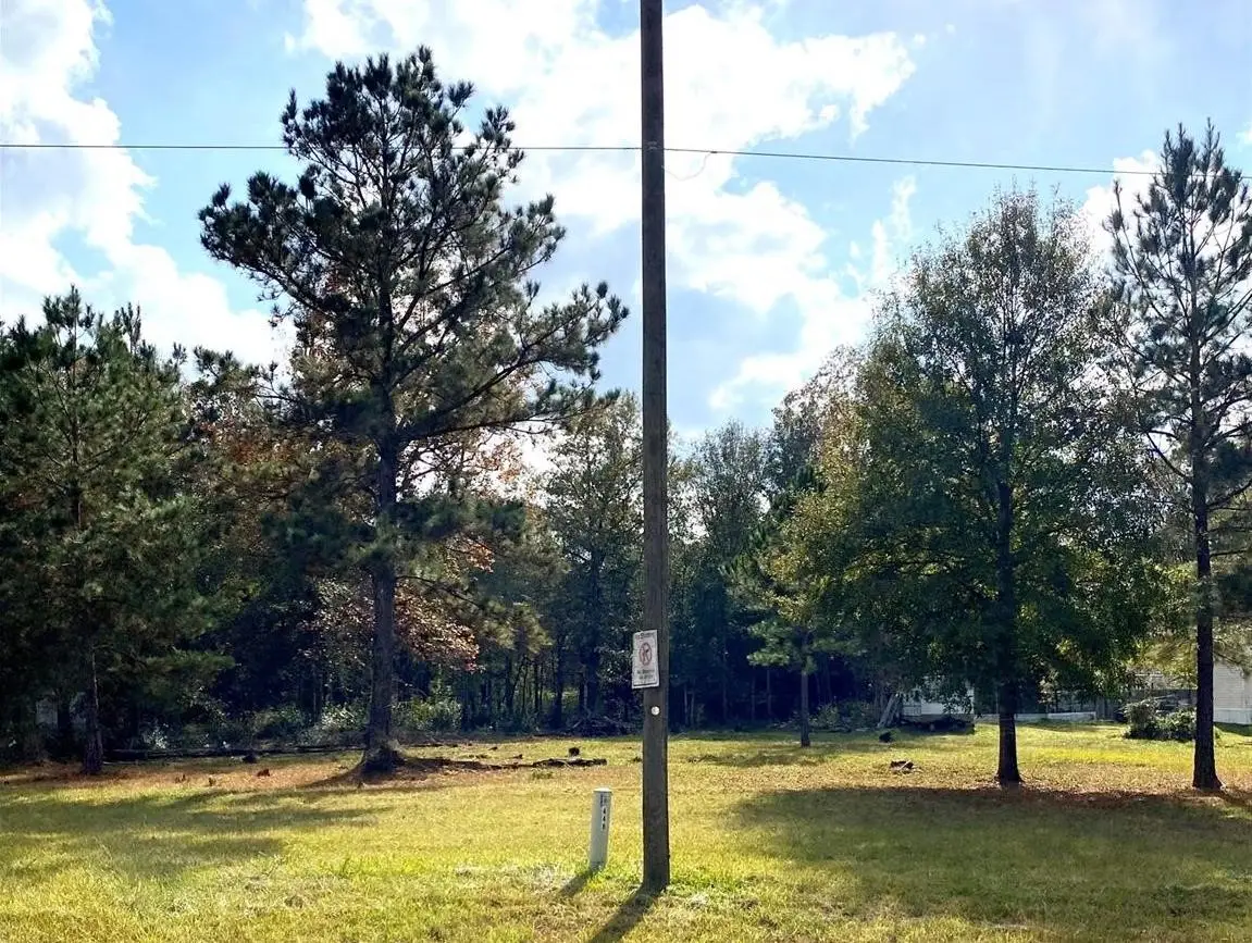 448 County Road 3415, Cleveland, TX 77327 - Image #1