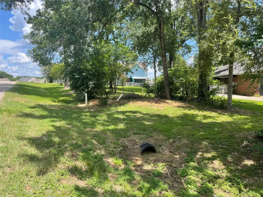 622 Pine View Circle, Montgomery, TX 77356 - #3