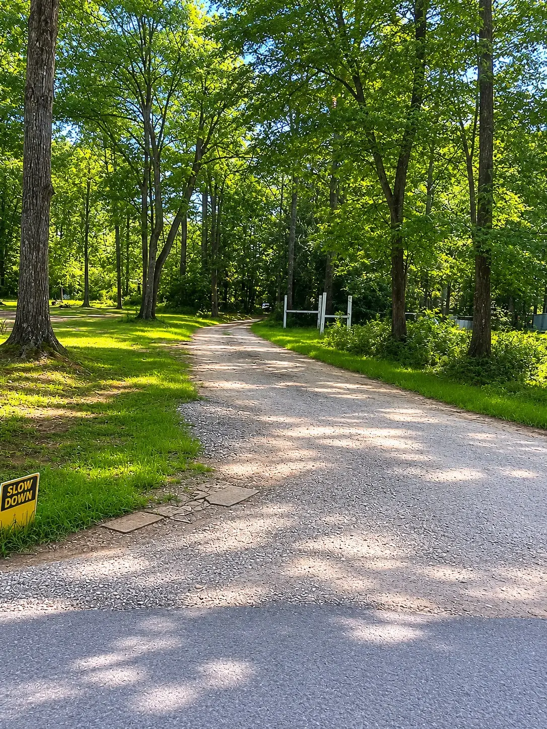 47 Phelps Creek Drive, Huntsville, TX 77340 - #1