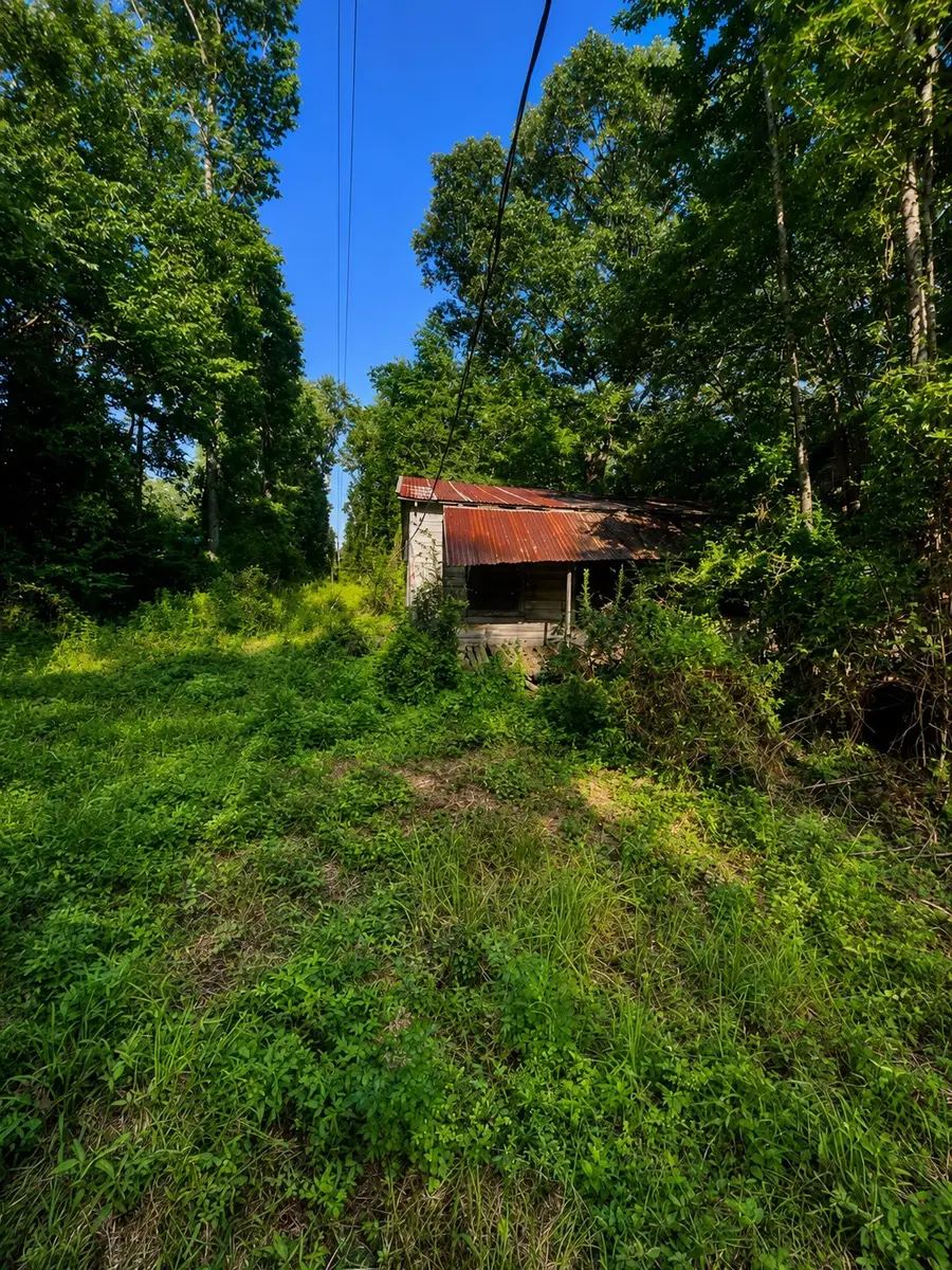 47 Phelps Creek Drive, Huntsville, TX 77340 - #3