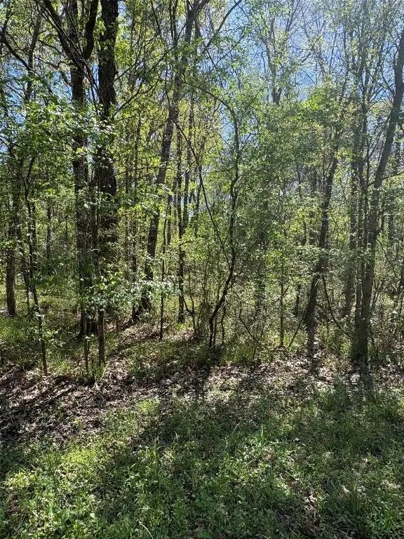 TBD Cr 2505, Liberty, TX 77575