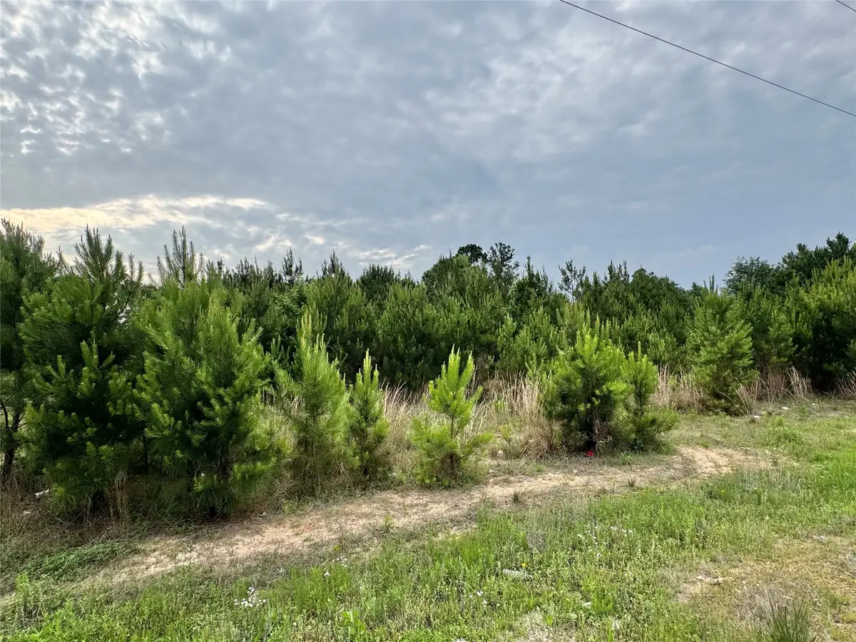 576 County Road 3773, Cleveland, TX 77327 - #1
