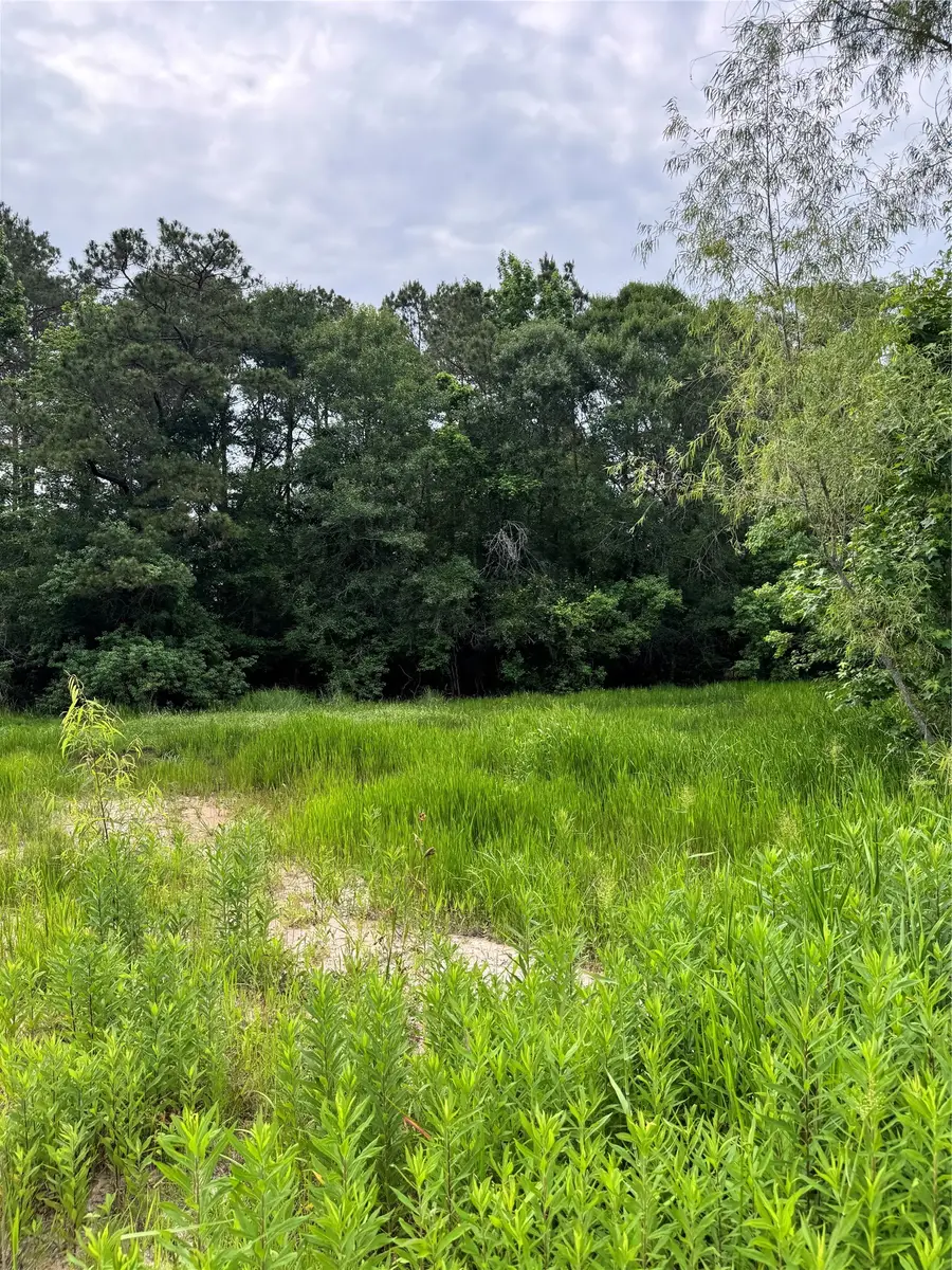 576 County Road 3773, Cleveland, TX 77327 - #3