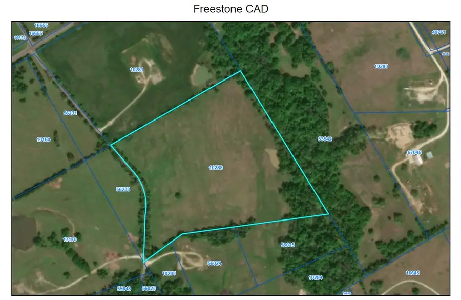 TBD Cr 751, Donie, TX 75838 - #2