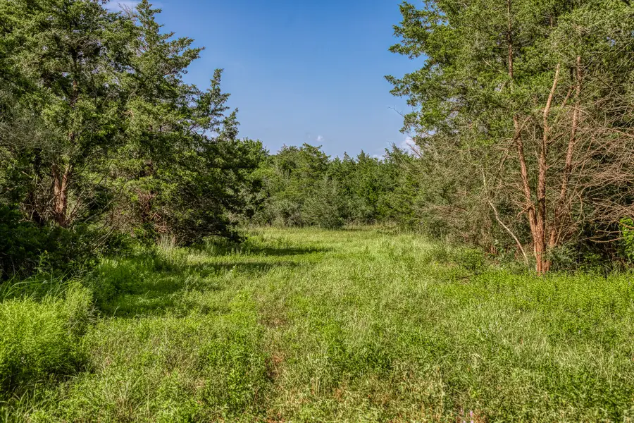 1544 Bluebonnet Ridge Dr, Chappell Hill, TX 77426 - Image #2
