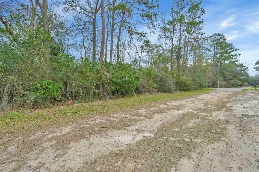 000 Willow Dr, Conroe, TX 77302 - #3