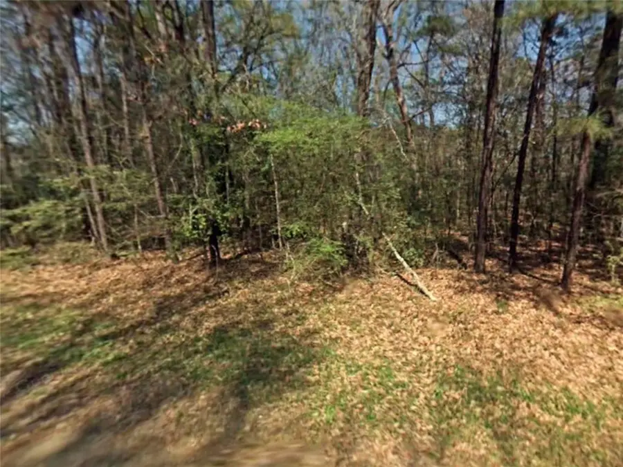 TBD Lazy Oak Drive, Livingston, TX 77351 - Image #3