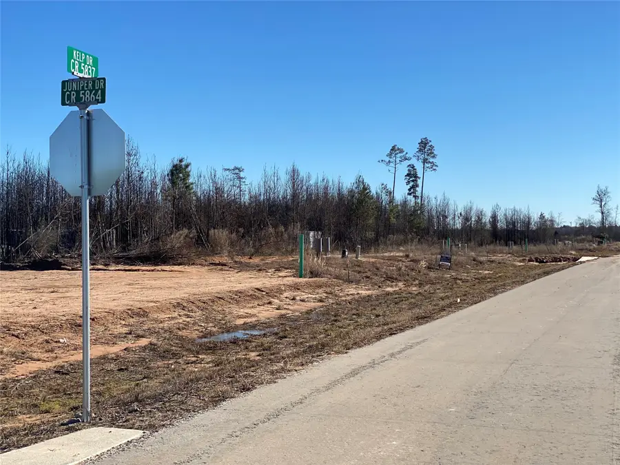 6132 Road 5837, Cleveland, TX 77327 - Image #2