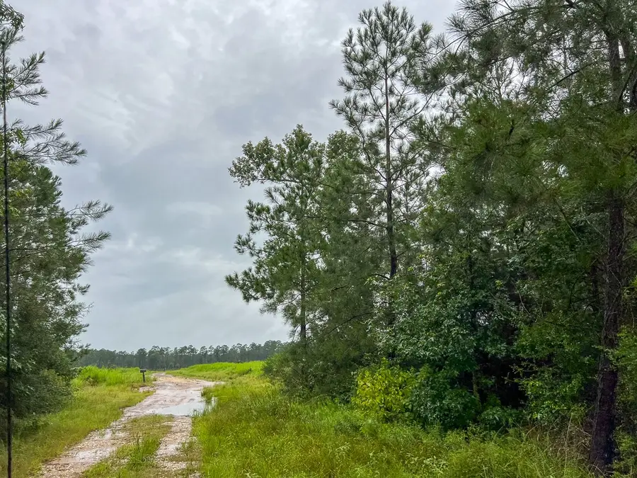 11 Fm 1276, Livingston, TX 77351 - Image #3