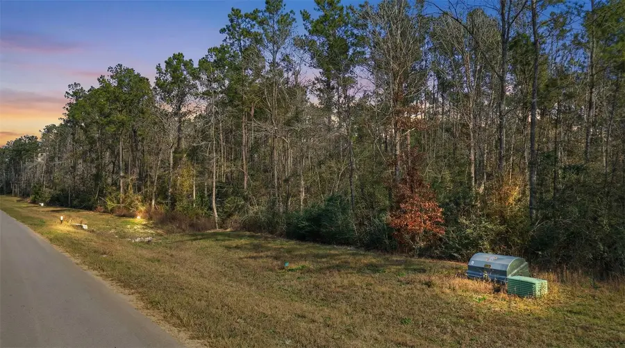 10733 Ruger Road, Willis, TX 77378 - Image #2