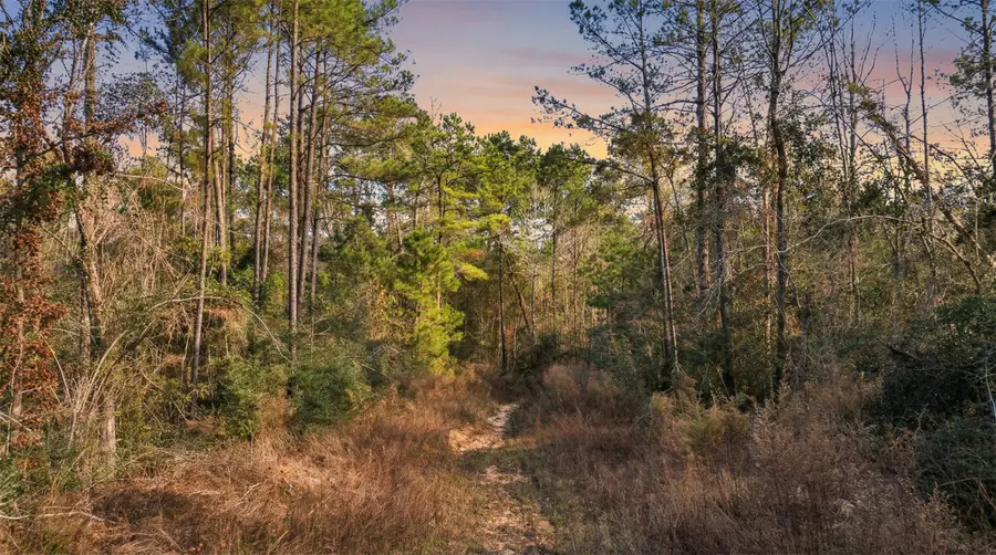 10733 Ruger Road, Willis, TX 77378 - Image #3