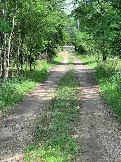 30227 Oak Lane, Magnolia, TX 77354 - Image #1