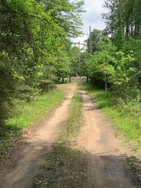 30227 Oak Lane, Magnolia, TX 77354 - Image #3