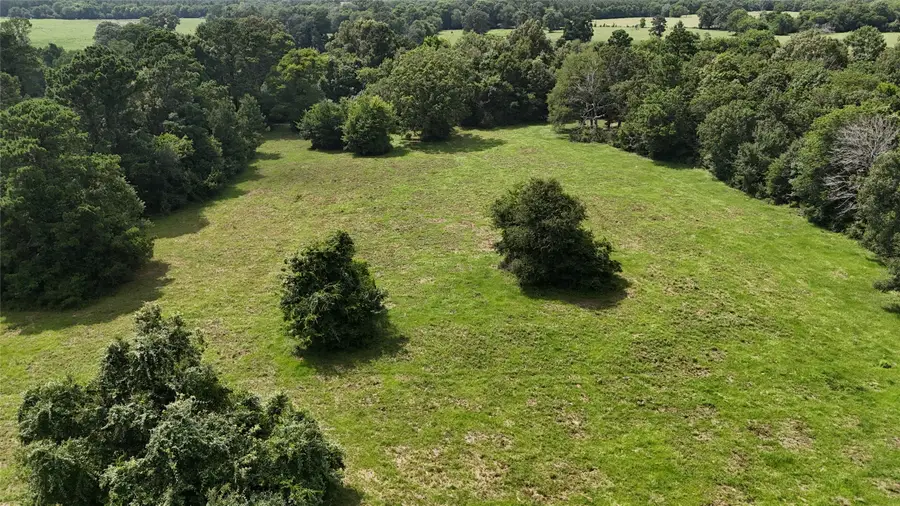 000 Jones Road, New Waverly, TX 77358 - #2