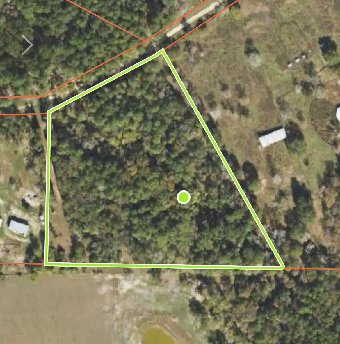 TBD-10.24acres Townley Ranch Road, Dodge, TX 77334 - Image #1