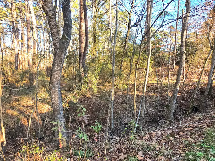 TBD Governor Wood Drive, Point Blank, TX 77364 - #3