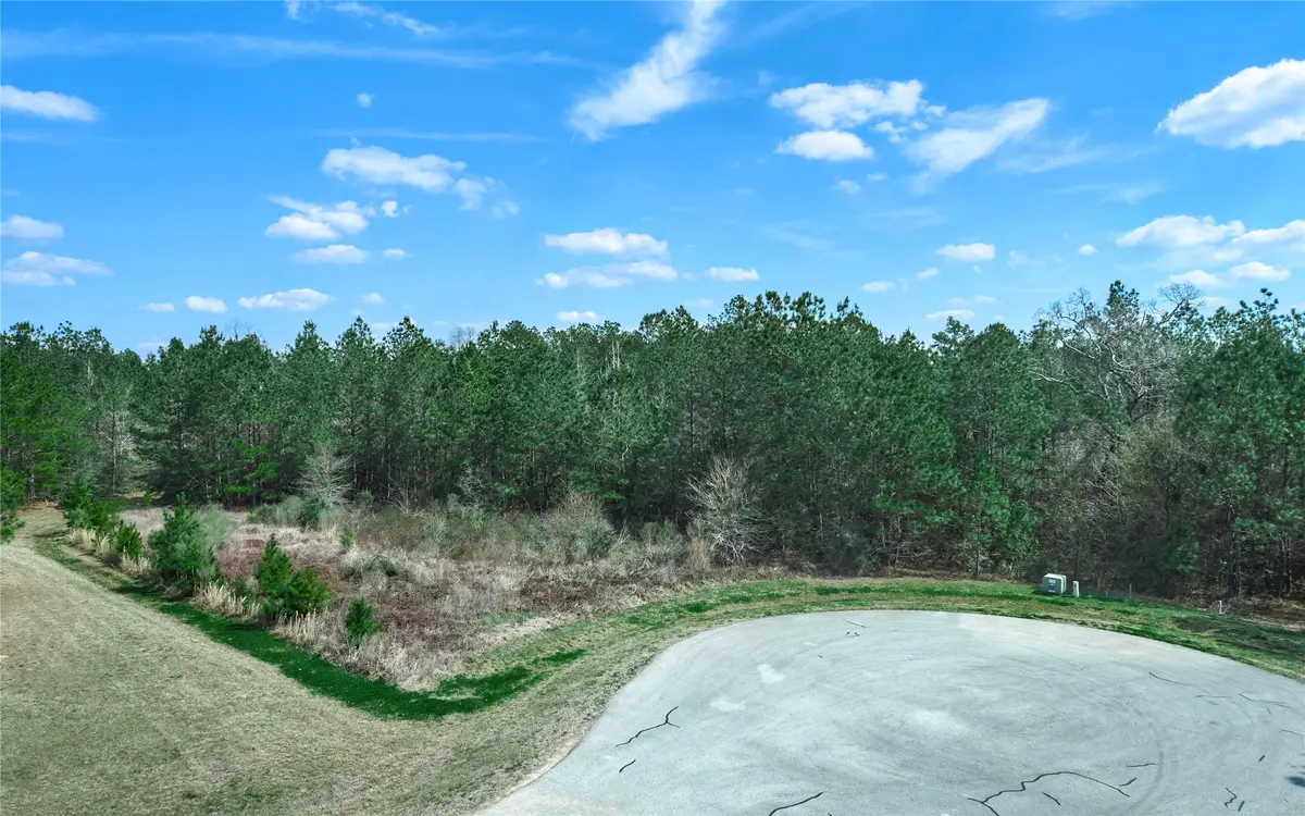 4505 Mistywood Court, Montgomery, TX 77316 - Image #1