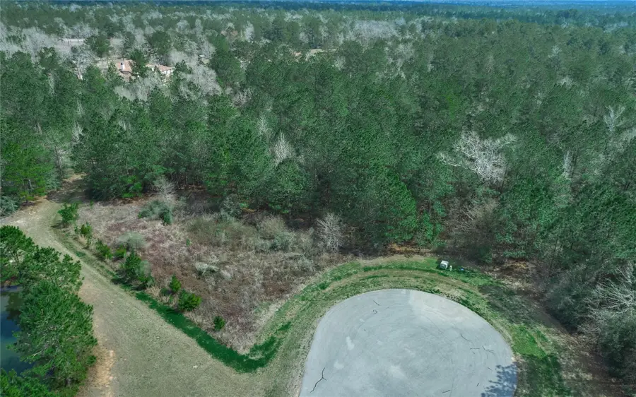 4505 Mistywood Court, Montgomery, TX 77316 - Image #2