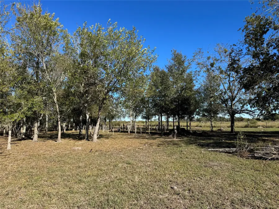LOT 13 Mesquite Road, Wallis, TX 77485 - Image #2