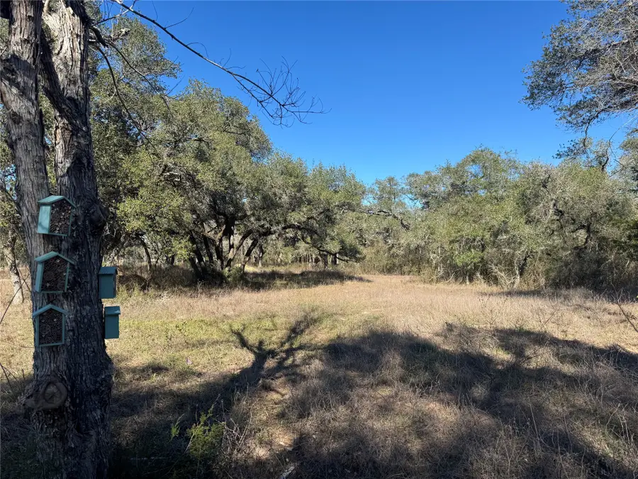 TBD County Road 160, Columbus, TX 78934 - #3