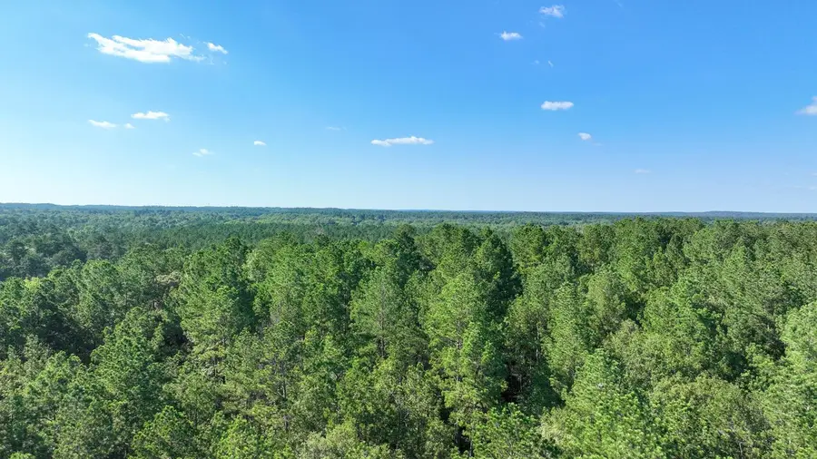 TBD Us Hwy 69 N N, Colmesneil, TX 75938 - Image #3