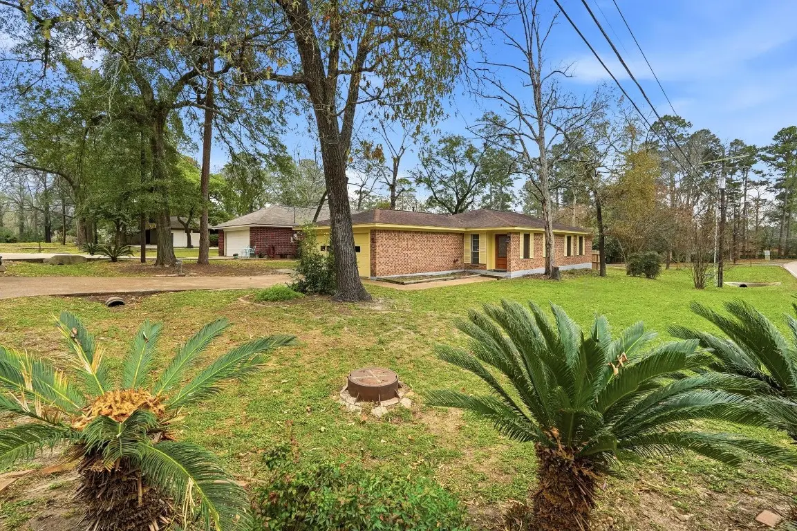 20 Moon Valley Court, Conroe, TX 77304 - #1