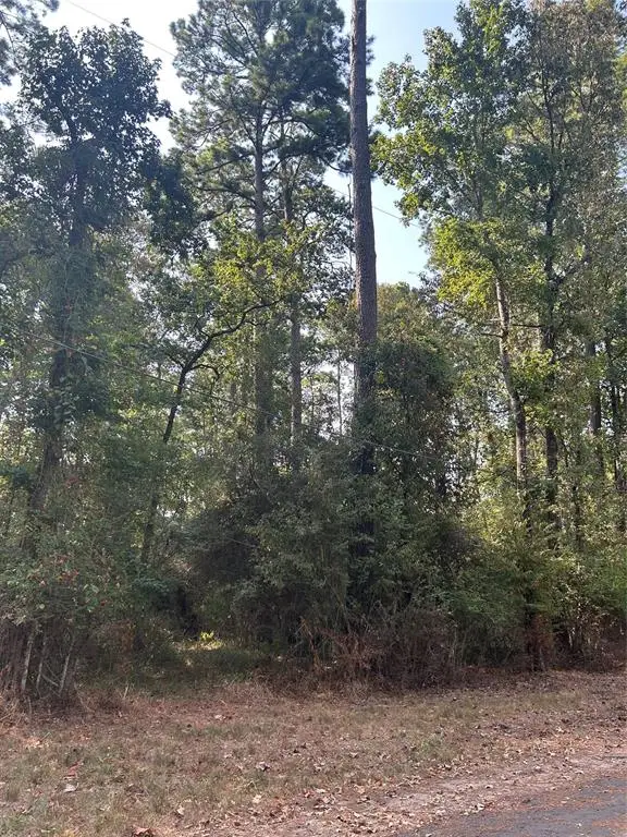 1920 Caldwell Street, Livingston, TX 77351 - #2