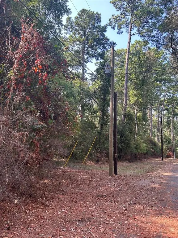 1920 Caldwell Street, Livingston, TX 77351 - #3