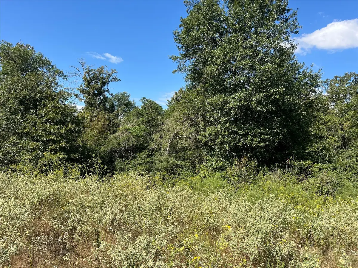 00 Cr 322, Jewett, TX 75846 - Image #1