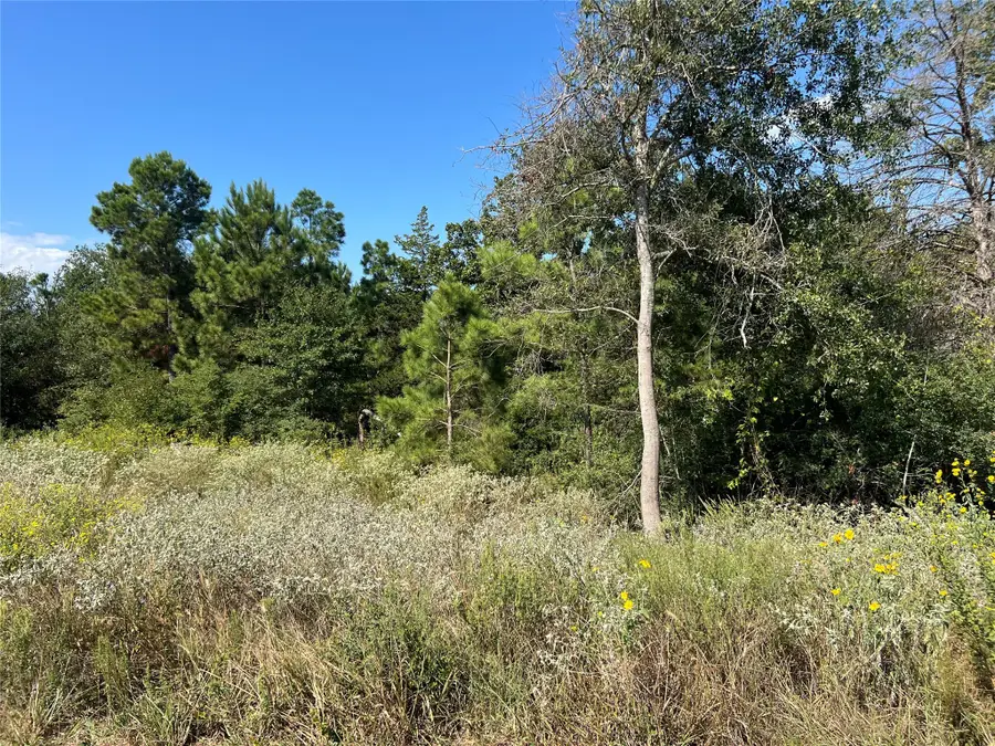 00 Cr 322, Jewett, TX 75846 - Image #3