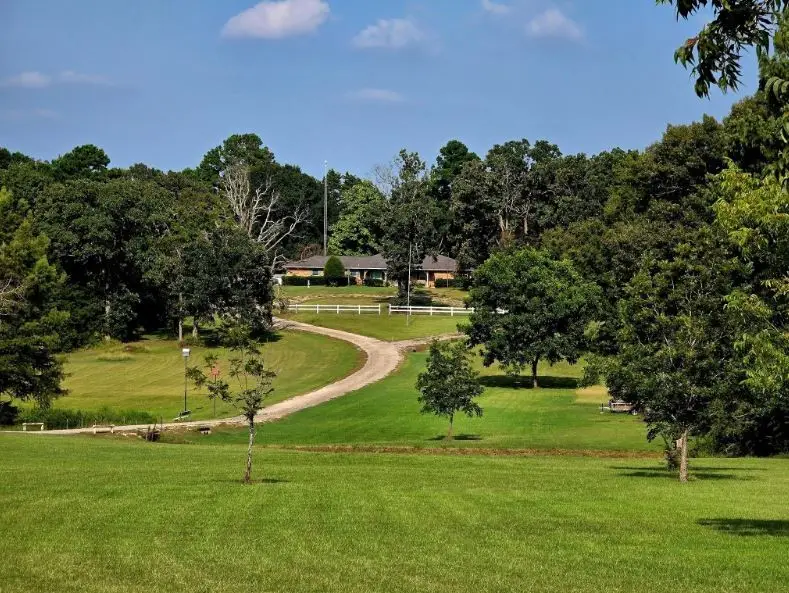 799 Farm To Market 314, Ben Wheeler, TX 75754 - Image #1