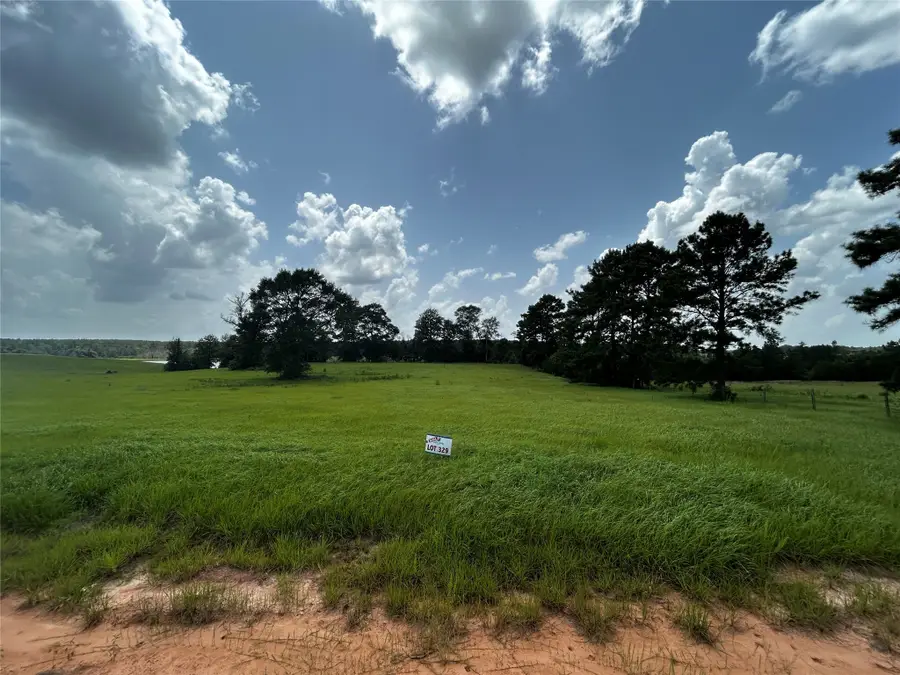 LOT 329 Madison Lake Loop, Hillister, TX 77624 - Image #2