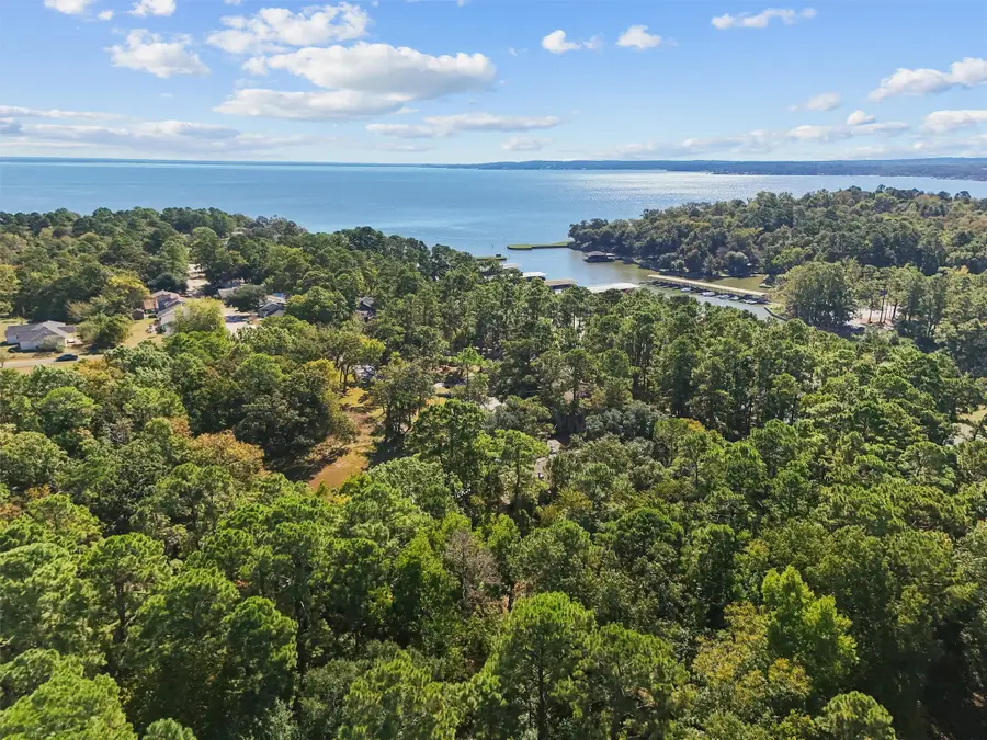 102 Villa Way, Coldspring, TX 77331 - Image #2